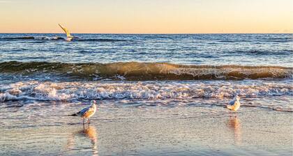Magnifique appartement Ă Bedzino avec.