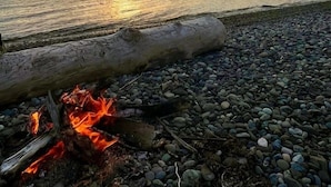 A pebbled beach with a fire and a log.