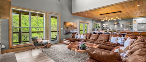 TV, fireplace, video games, DVD player