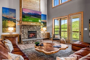 Televisión, chimenea, videojuegos, reproductor de DVD