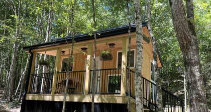 Modern Tiny House tucked in the woods - only 192 Sq. Ft.