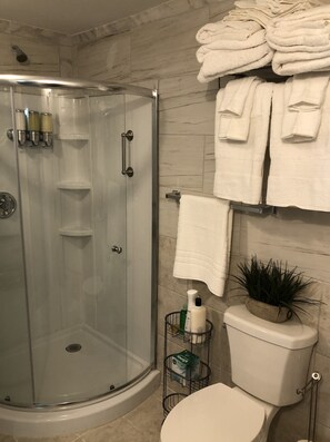 Shower, hair dryer, towels, soap