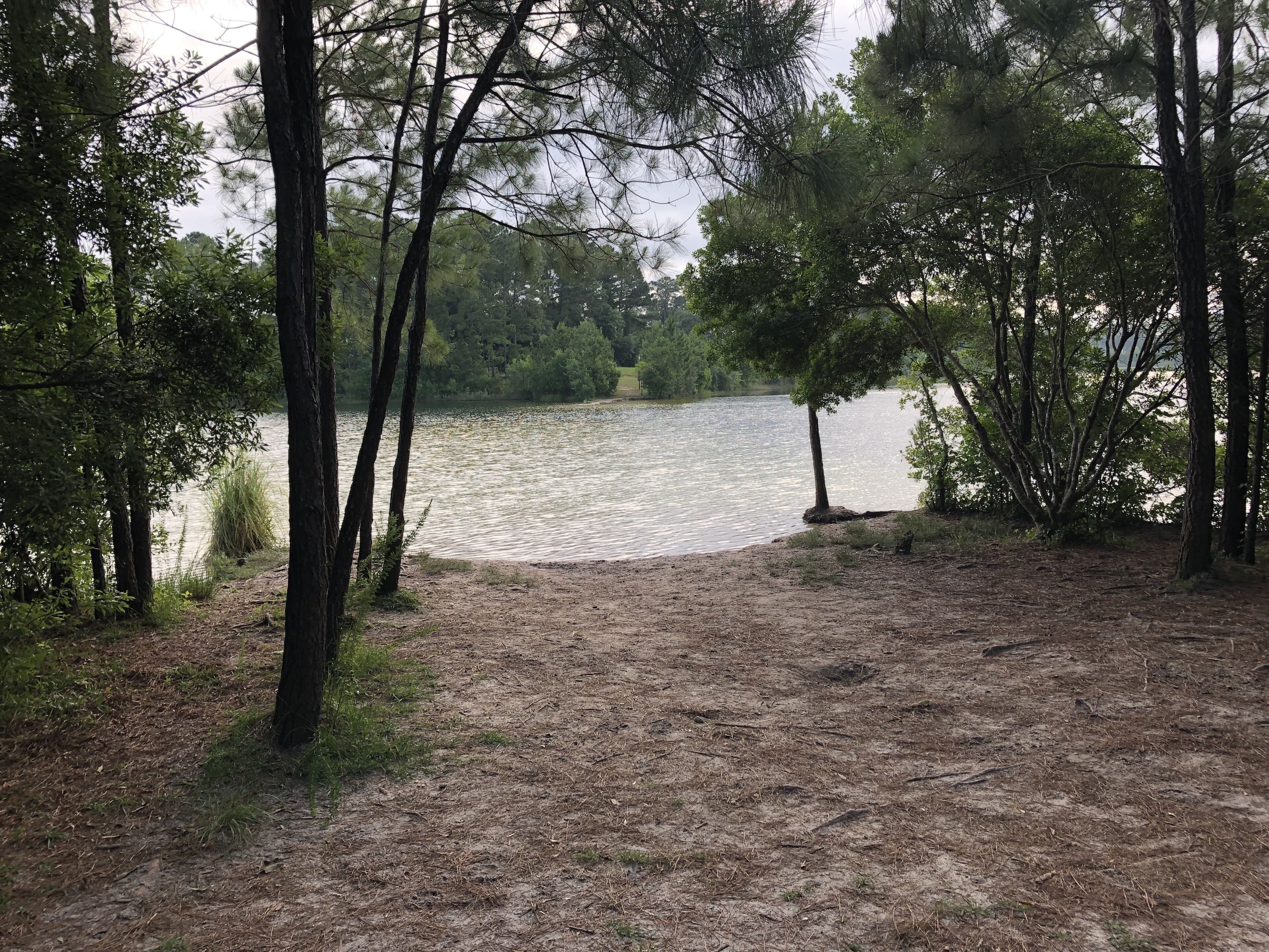A natural setting with a lake surrounded by trees and a dirt path leading to the water.