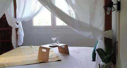 Le Cacaoyer, cosy apartment with sea view