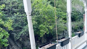 A balcony with white balustrades overlooking a garden with steps leading down to a road. - UP ON MAIN - a charming historic apartment in the heart of Eureka Springs (Eureka Springs)