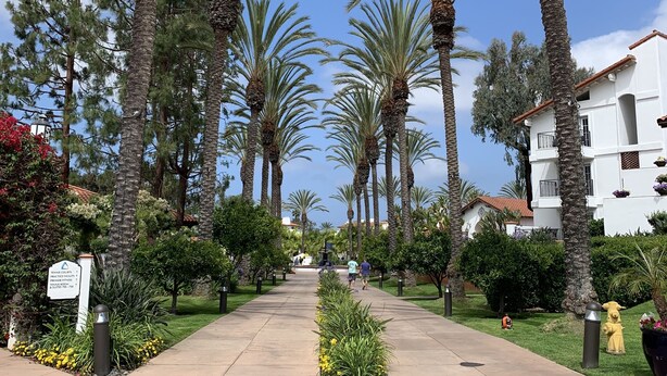 A pathway lined with palm trees leading to a building with a white facade and balconies.