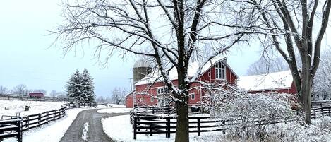 Área da propriedade