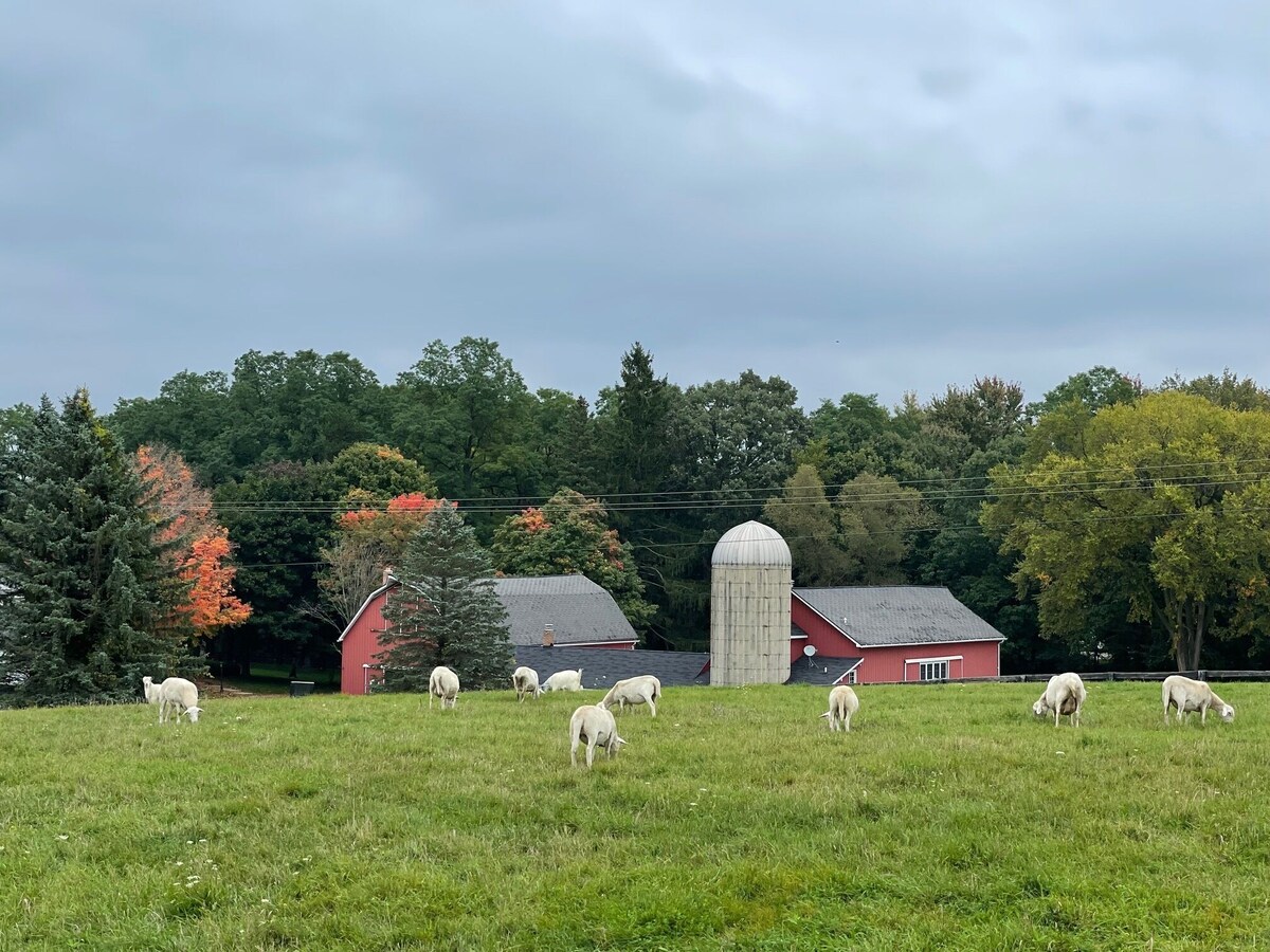 Image de profil de l’hôte