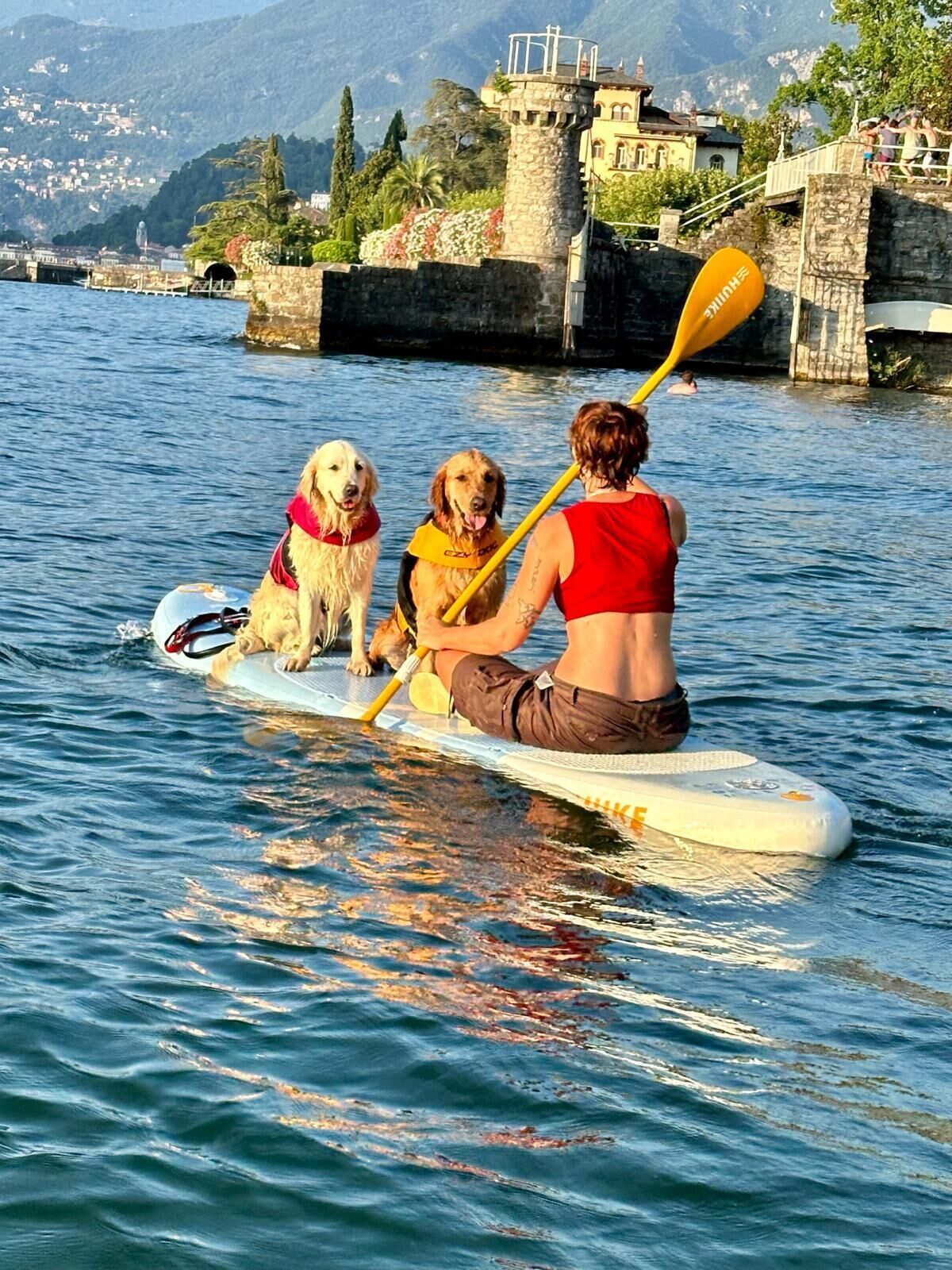 Una persona y dos perros en una tabla de paddleboard sobre el agua, con montañas al fondo.