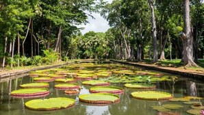 Đạp xe