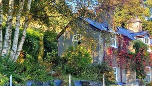 Ein rustikales Steinhaus mit efeuüberwachsenen Mauern, einem Schornstein und einem Garten mit Birkenbäumen.