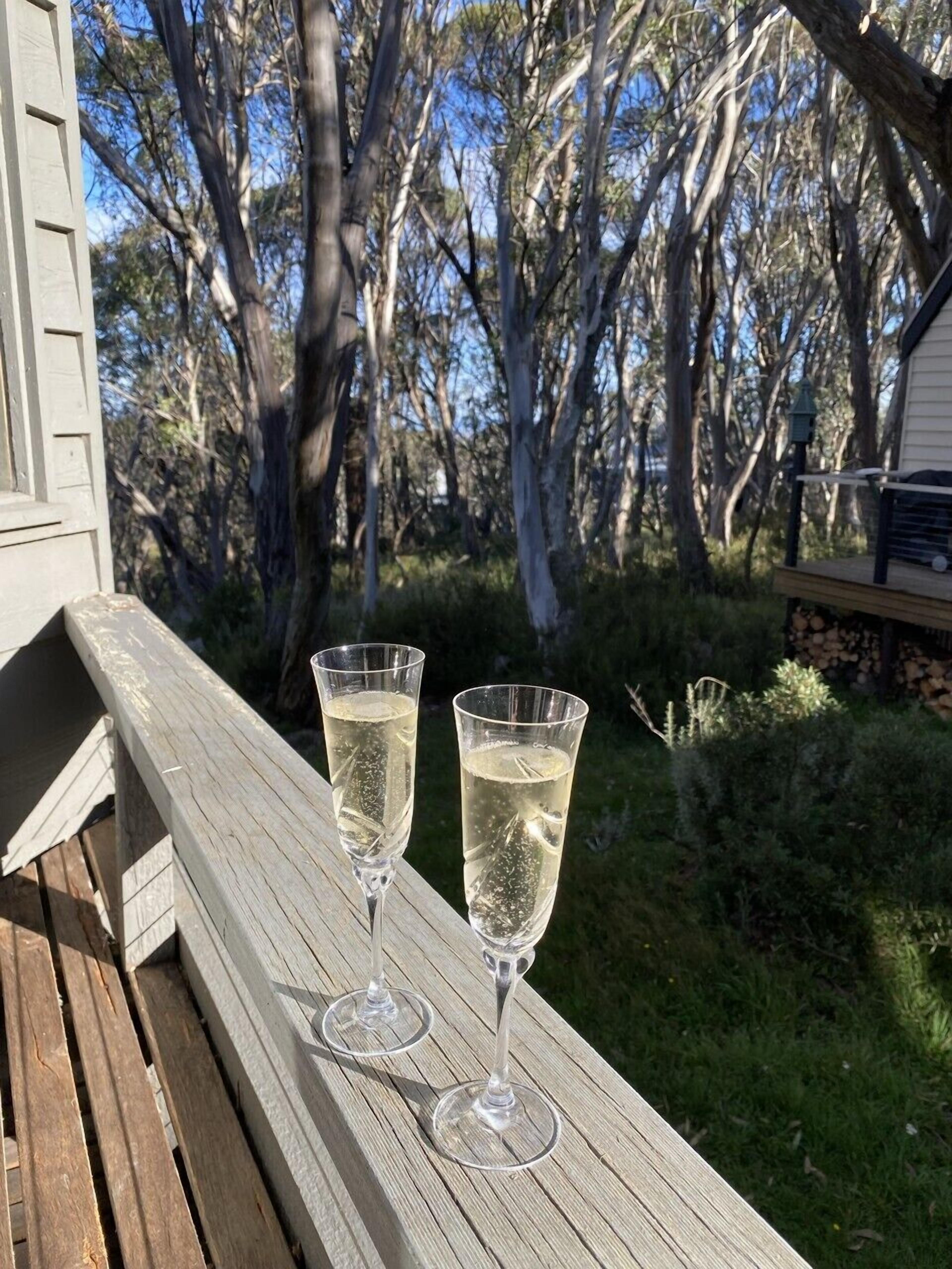 Two glasses of a clear liquid on a wooden deck with a view of trees and a house in the background.
