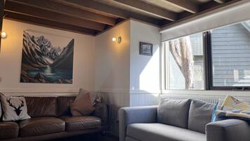 Fernseher, Kamin, Bücher