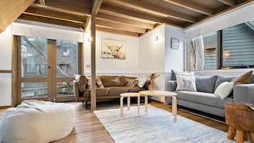 TV, fireplace, books
