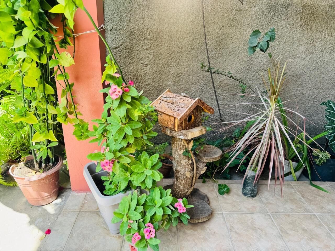 A garden area with potted plants, a wooden birdhouse, and a stone structure.