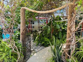 テラス / パティオ