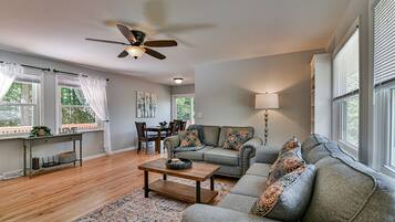 Smart TV, fireplace, books