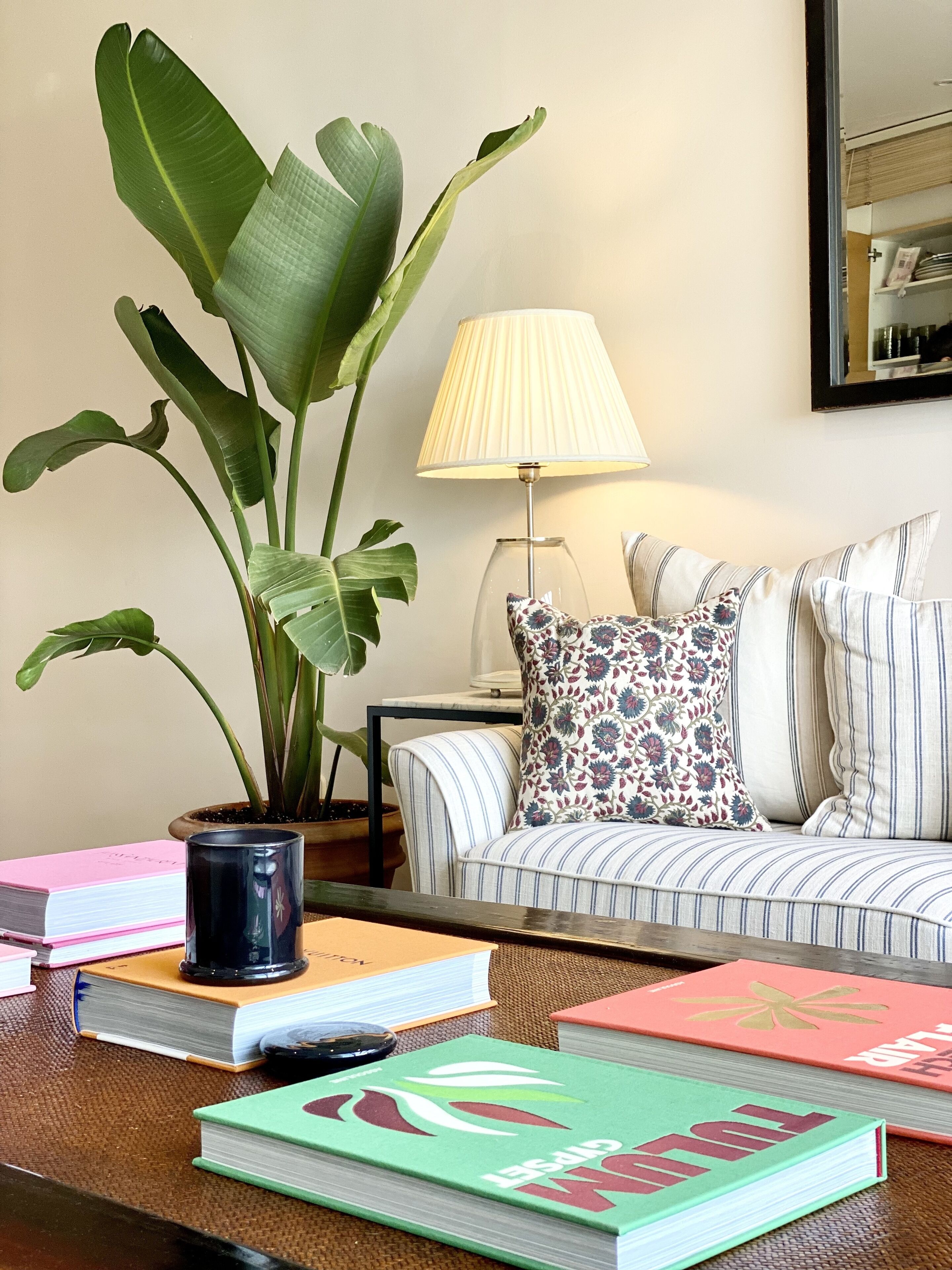 Una sala de estar con un sofá, una mesa de centro con libros, una lámpara y una planta grande.