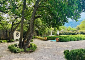 A garden with a pool, trees, and a building with a ship wheel design.