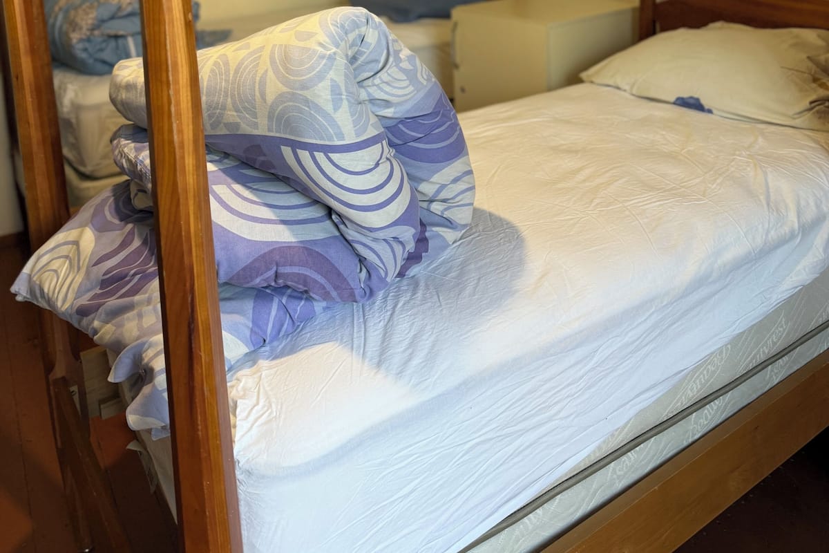 Dormitorio compartido económico, varias camas, para no fumadores, en el área del jardín | Espacio para trabajar con laptop y tabla de planchar con plancha