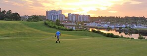Golf
