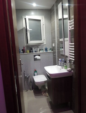 Duschwanne, Haartrockner, Handtücher, Seife