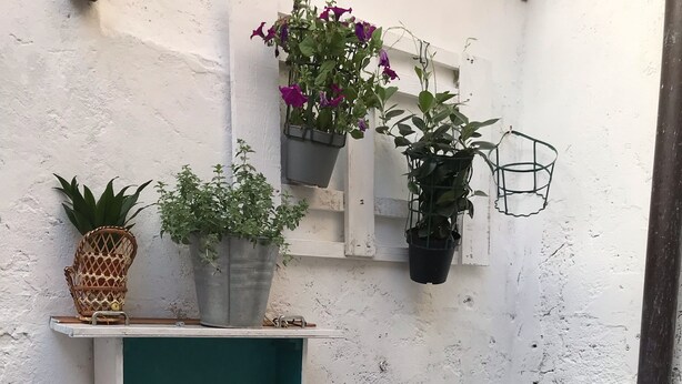 A small dining area with a table set for two, including plates, cutlery, and a bowl of fruit. There are potted plants and a juice box on the table. - Central Private home,  close to all you need in Viareggio (Viareggio)