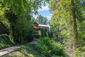 A wooden cabin surrounded by dense forest, with a paved path leading to it.