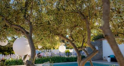 Grande villa design Bauhaus. + 3 gĂźtes