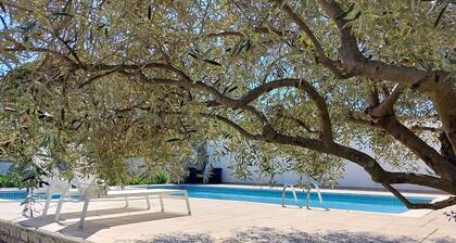 Grande villa design Bauhaus. + 3 gĂźtes