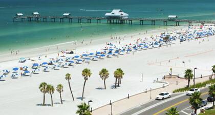 Bayshore Treasure - A South Tampa Oasis