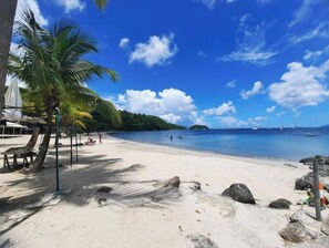 Enjoy a serene beach experience with calm seas and scenic palm trees.