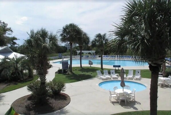 Relax by the pool surrounded by palm trees and lounge chairs.