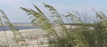 Breathtaking Ocean Sunrise Views. Relax at 3 pools with a BBQ. No Crowds!