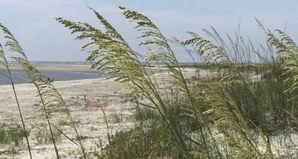 Breathtaking Ocean Sunrise Views. Relax at 3 pools with a BBQ. No Crowds!