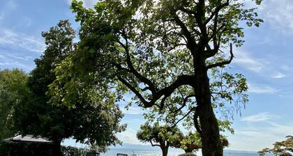 Ferienwohnung Seeperle49 - Besonders, stilvoll mit eigenem Badestrand