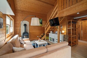 TV, fireplace, DVD player, books