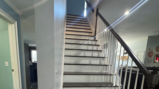 A staircase with dark wooden steps and white railings, leading to an upper floor.