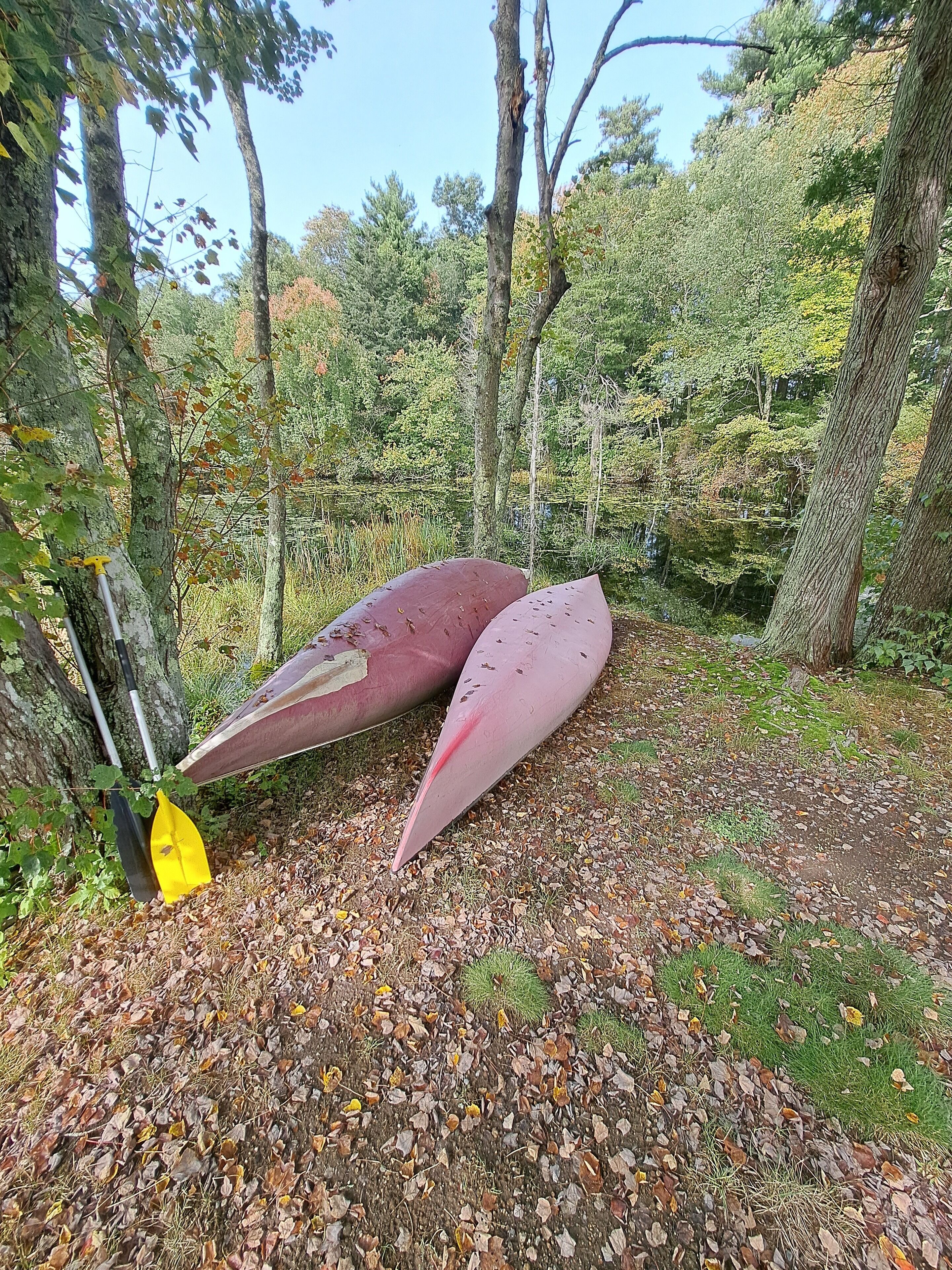 Een kano rustend op de grond in een bebost gebied met bomen en een heldere lucht.