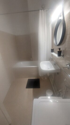 Combined shower/tub, hair dryer, bidet, toilet paper