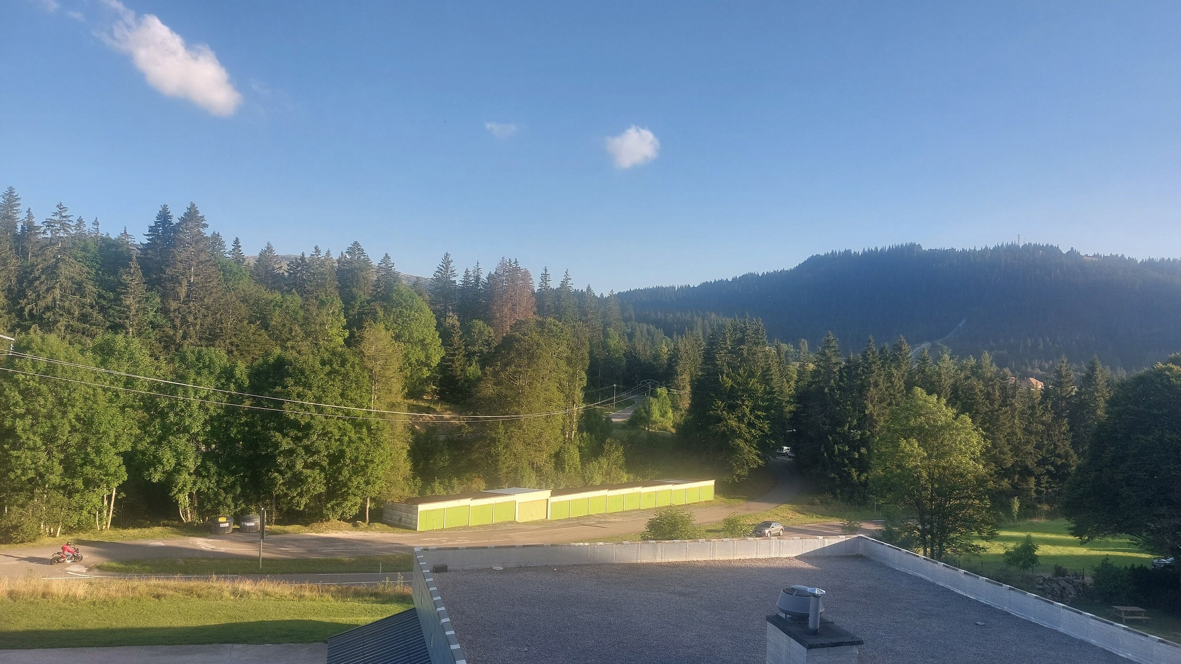 A view of a forested area with a road and a building with a green roof.