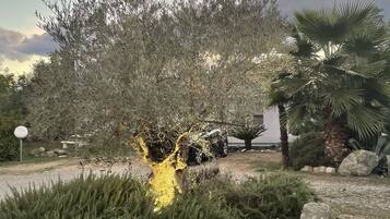 Área da propriedade