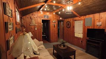 Smart TV, fireplace, video games, books