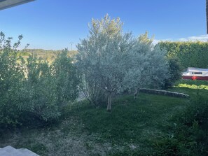 Property grounds - Villa 10 persons with swimming pool, near the village (Sainte-Cécile-les-Vignes)