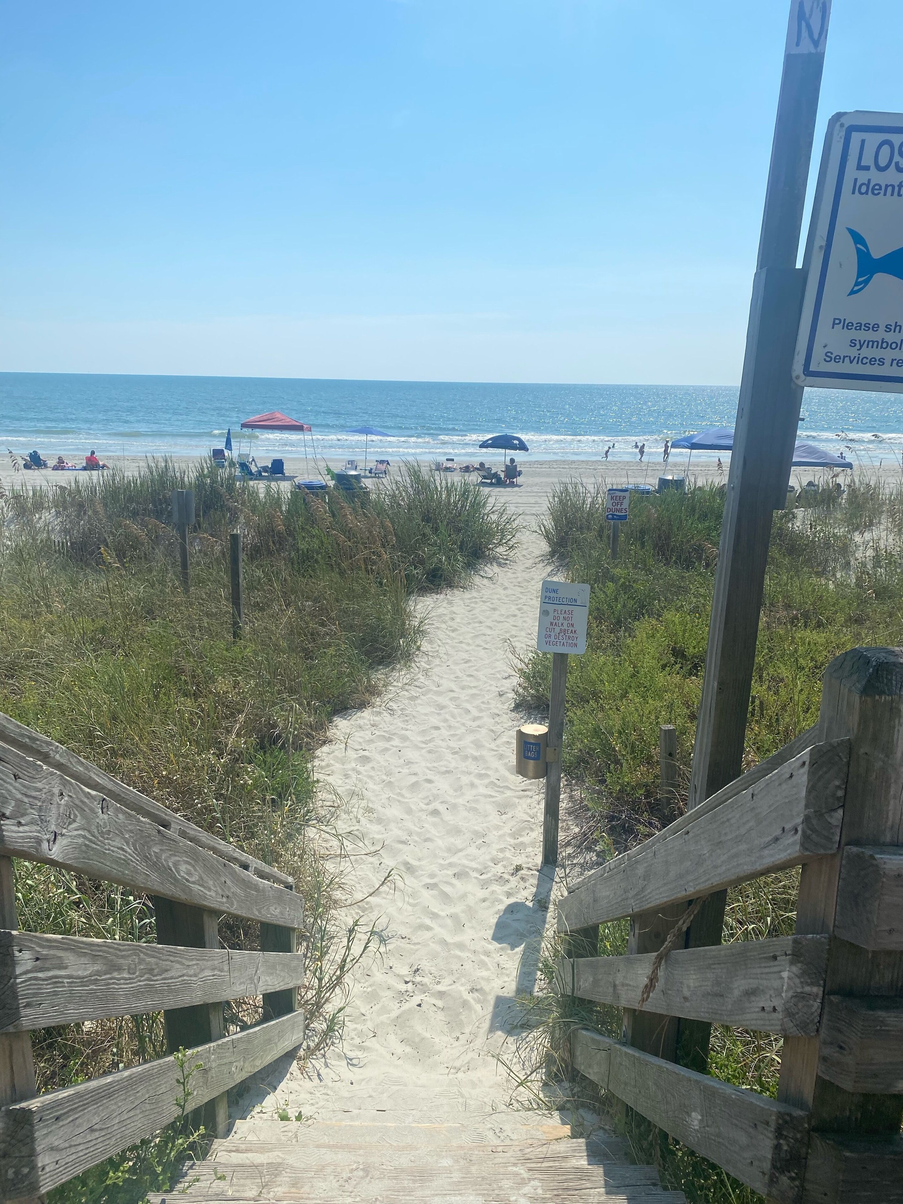 Ubicación cercana a la playa, tumbonas y toallas de playa