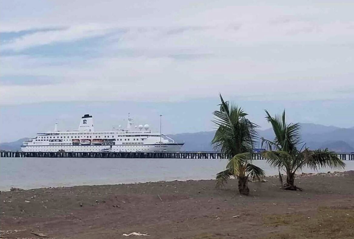 Een cruiseschip aangemeerd aan een pier, met een strand en palmbomen op de voorgrond.