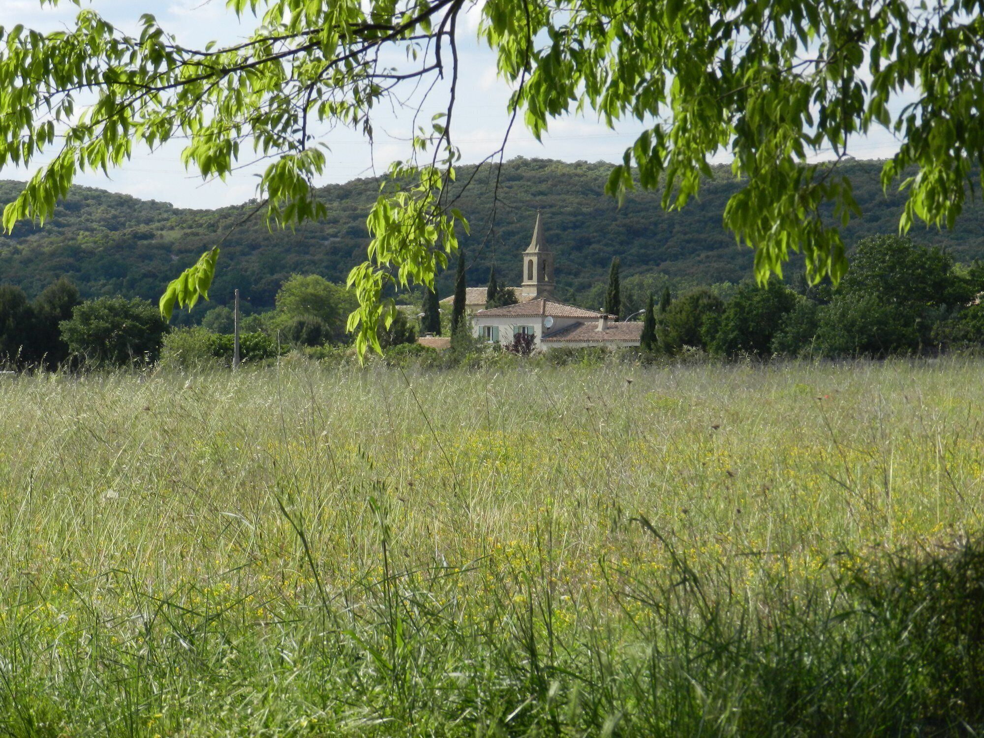 A rural church surrounded by a field with tall grass and trees.