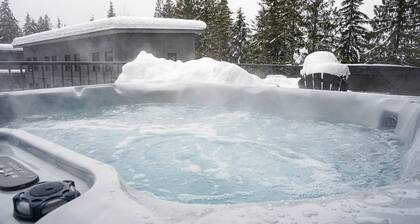 The Revy Den by Revelstoke Vacations