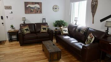 TV connectée, cheminée, chaîne hi-fi