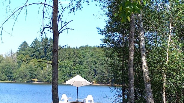 Zona de picnic junto al lago con una mesa y sillas bajo un toldo, rodeada de árboles y una vista despejada del lago.